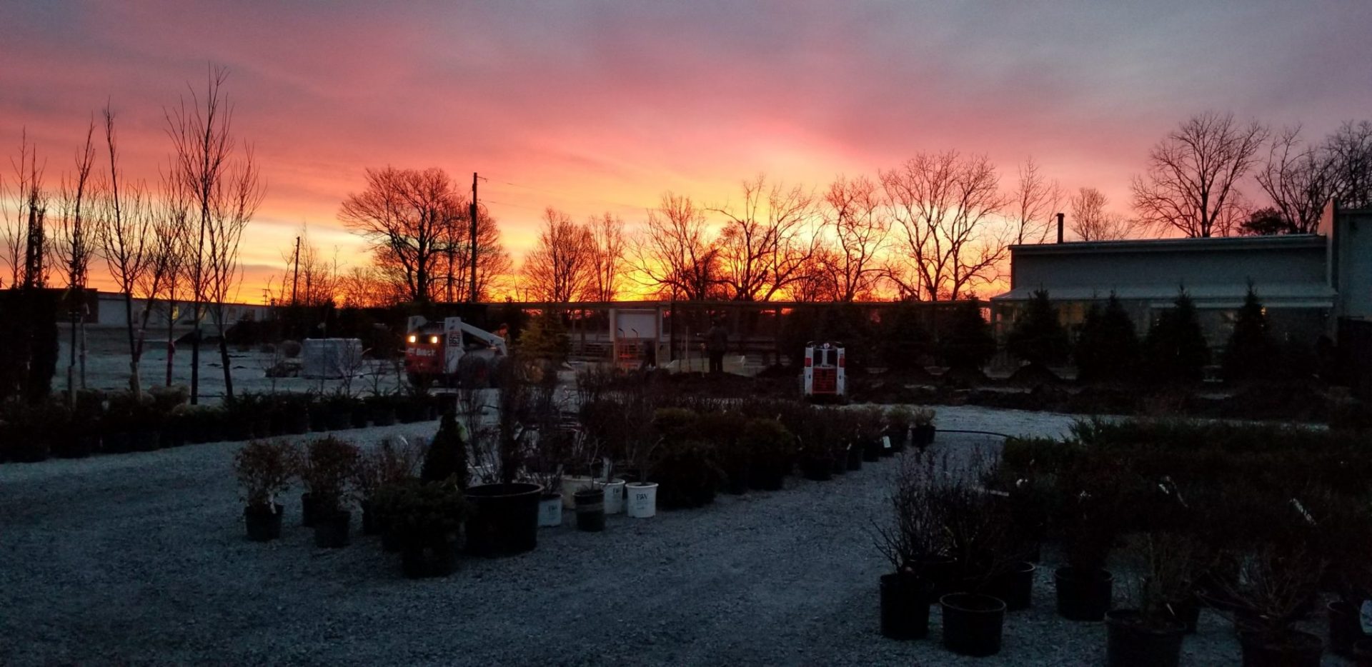 sunrise at Horizon Landscapes nursery